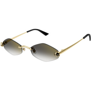 CARTIER CT0433S 001